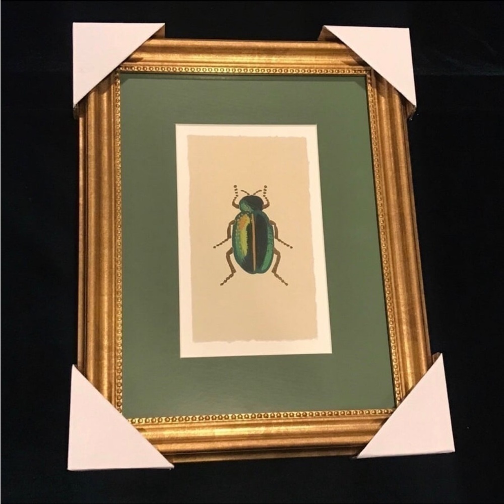 11"x14" Gold Foil Beetle Poster Framed Wall Art Print - Rifle Paper Co.